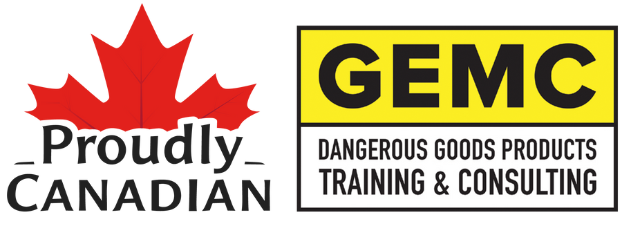 Train-the-Trainer in Dangerous Goods Handling for Automotive Parts